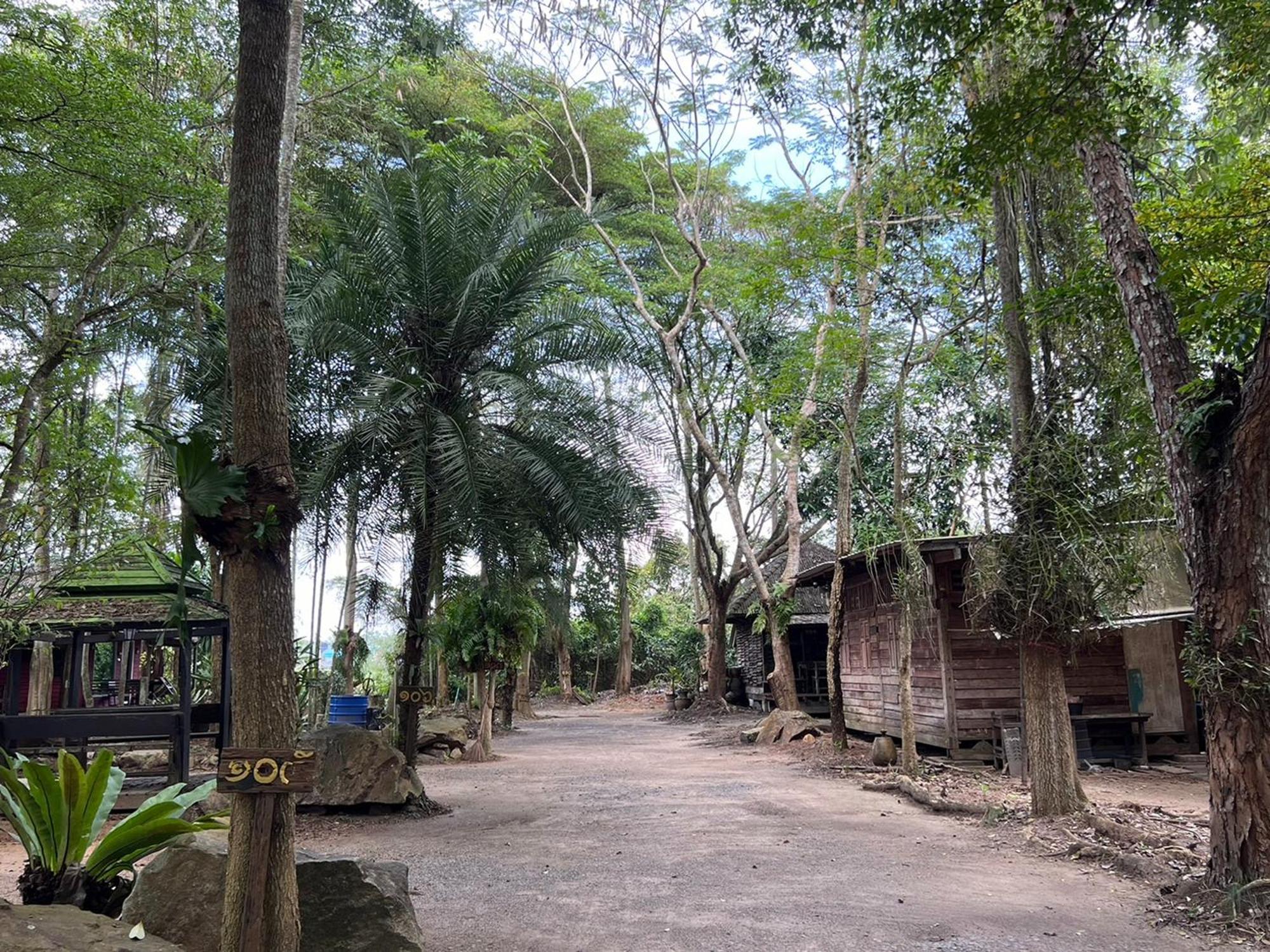 Pang Mai Resort Сонгкхла Экстерьер фото