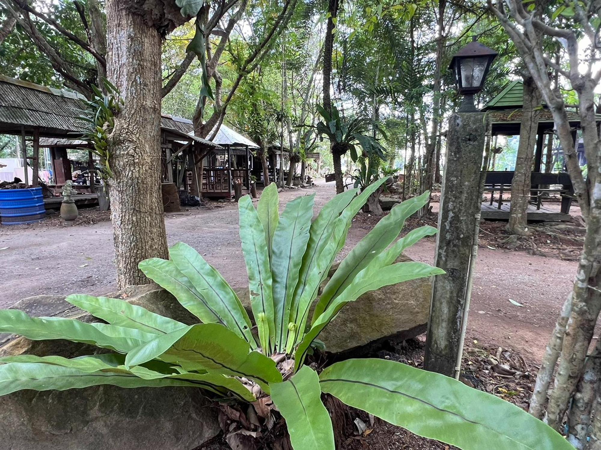 Pang Mai Resort Сонгкхла Экстерьер фото